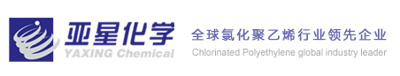 濰坊亞星化學股份有限公司