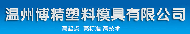 溫州博精塑料模具有限公司